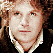 SAMWISE GAMGEE ; LOTR