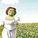 PRINCESS FIONA ; SHREK